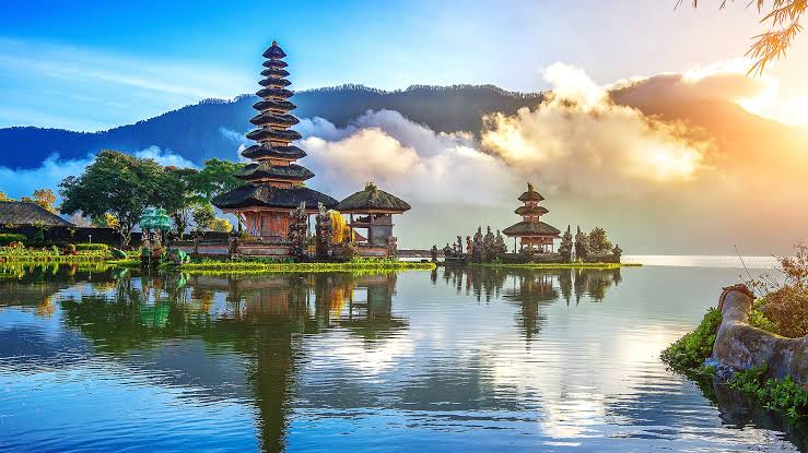 Tiket Bus Malang - Bali